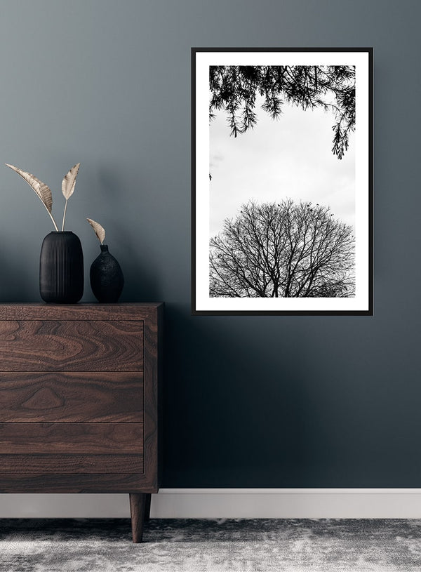 Poster Bäume und Äste