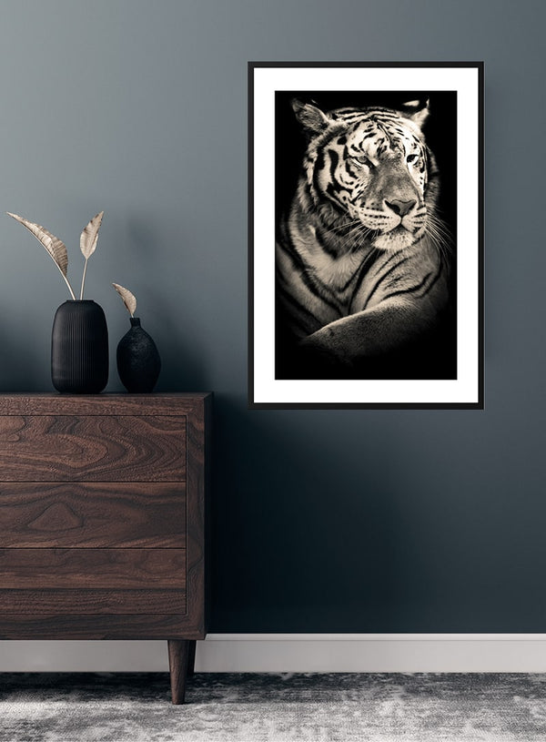 Cool wie Eistiger Poster