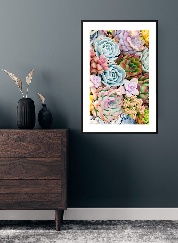 Multicolor Sukkulent poster