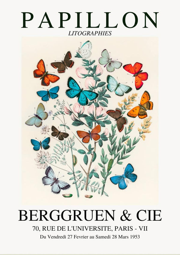 Colorful papillon exhibition poster.