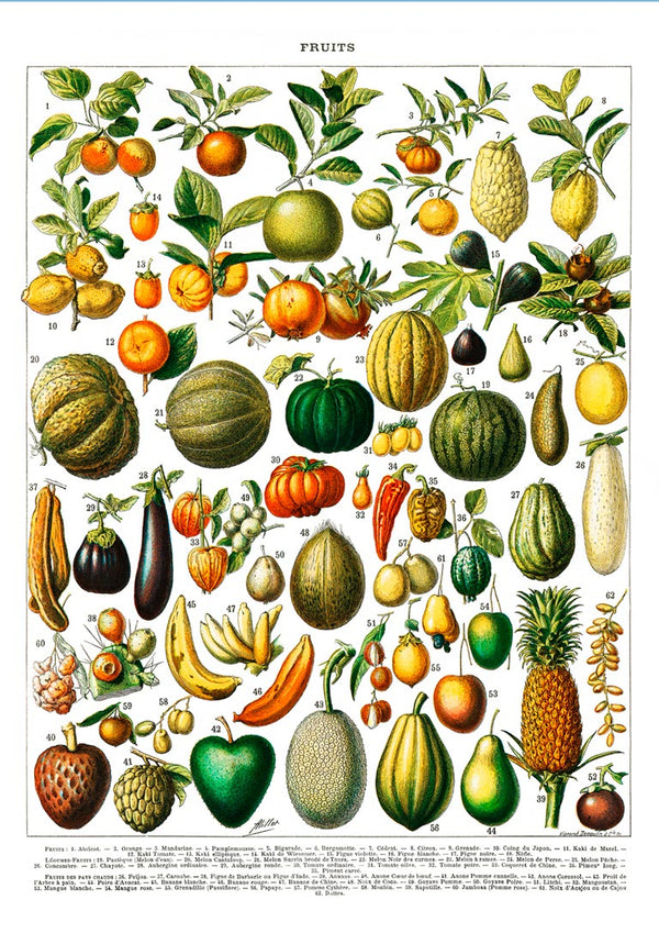 Vintage Fruit and Vegetable Poster