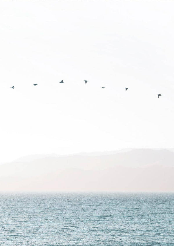 Birds in a straight line Poster