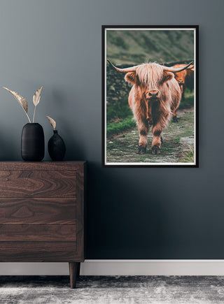 Framed Highland Cattle print hanging on a stylish dark wall above a wooden dresser with vases.