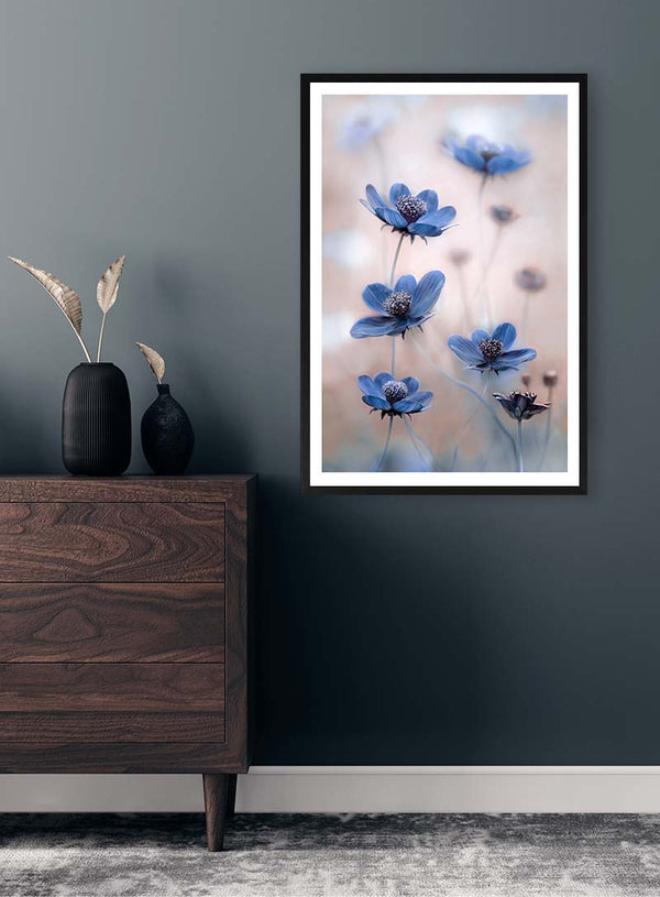 Cosmos blue - Mandy Disher