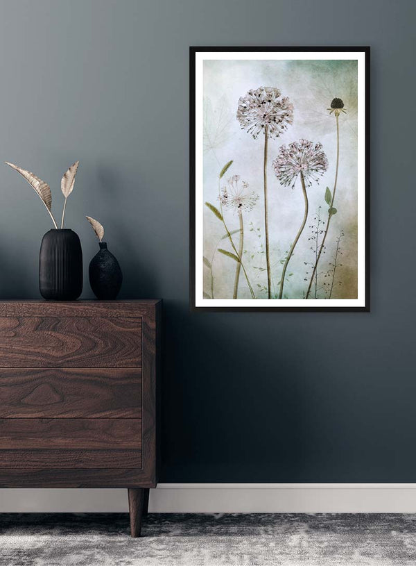 Allium – Mandy Disher