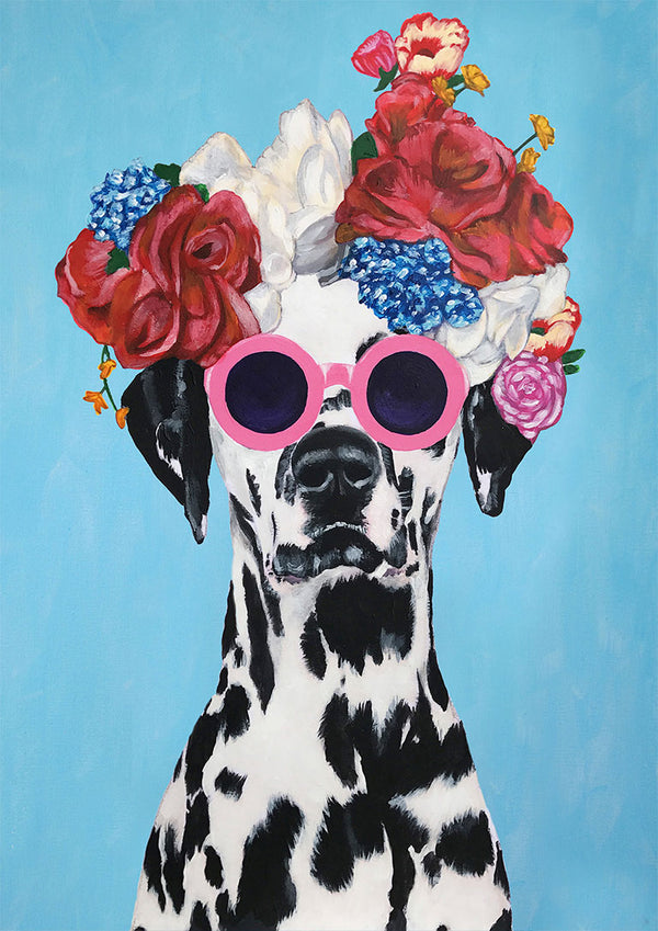 Modedalmatien – Coco de Paris