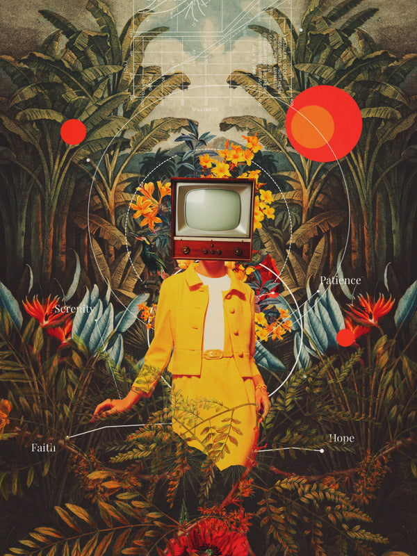 Sie kam aus der Wildnis - Frank Moth