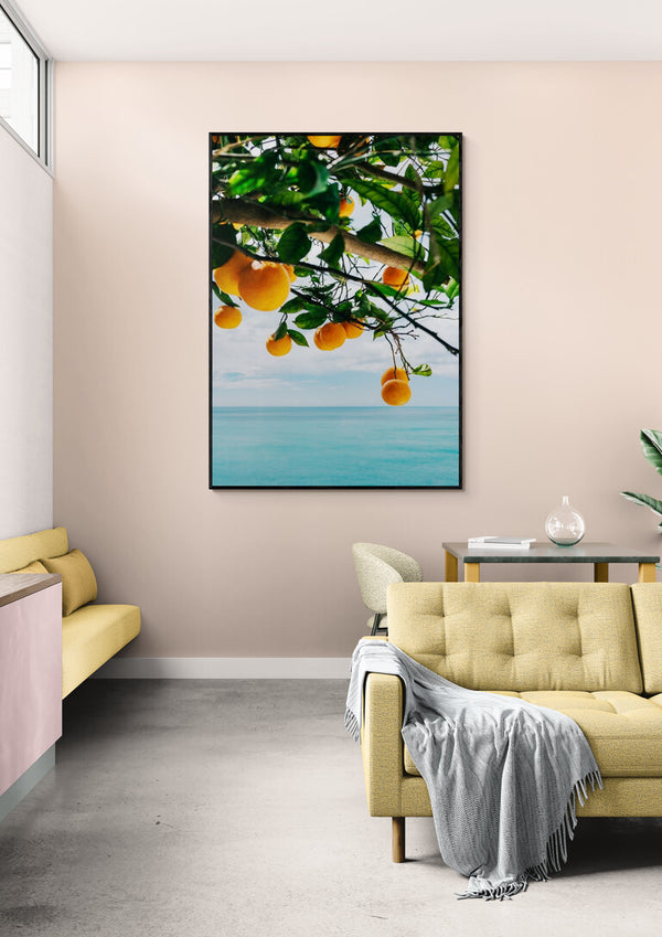 Amalfi Coast Oranges IV