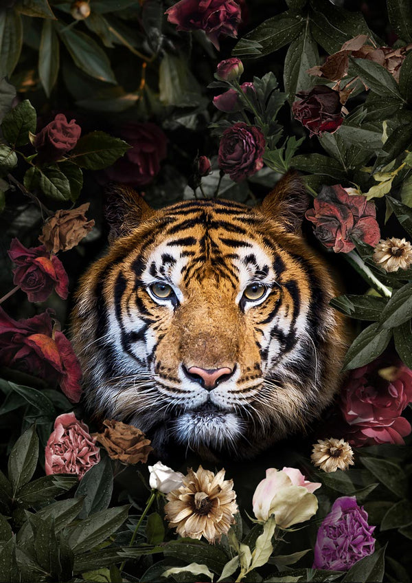 Tiger mit Blumenplakat