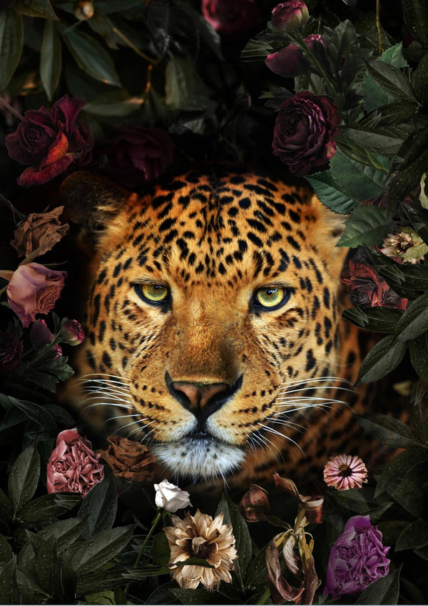 Poster „Leopard mit Blume“