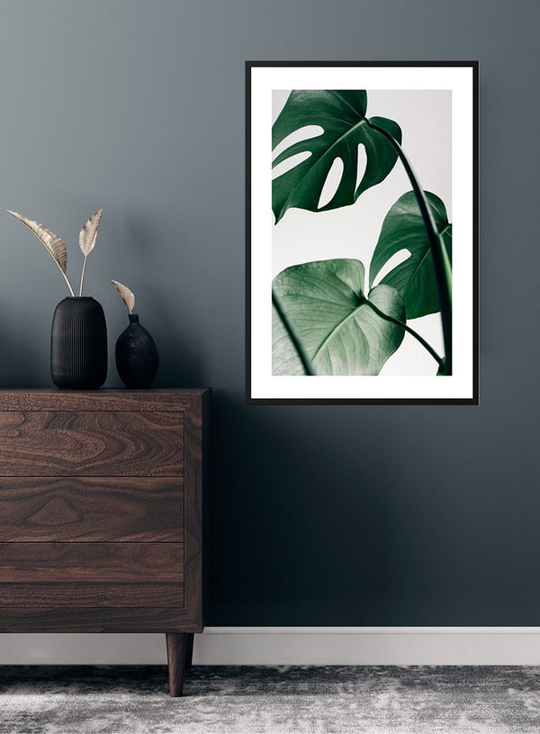 Poster mit Monstera-Blättern