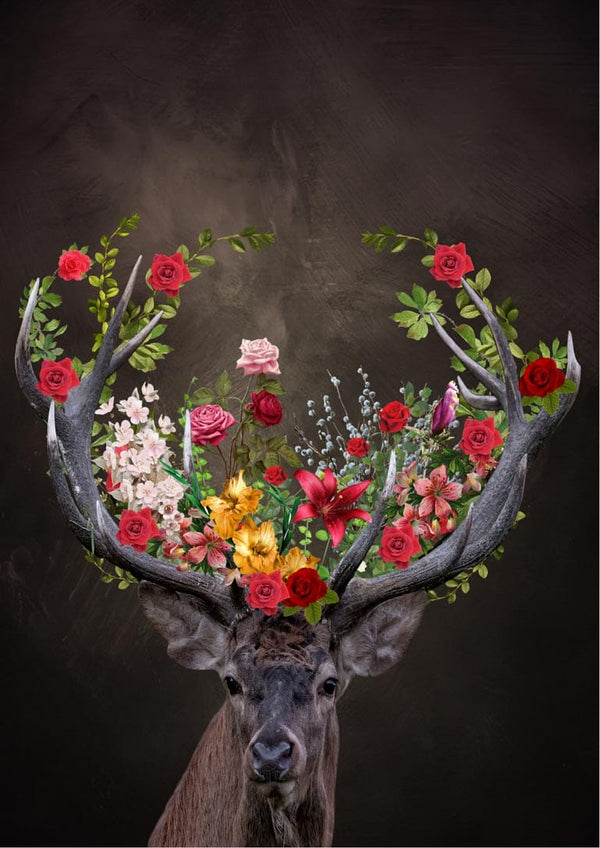 Kronhjort mit Blomster 2 Poster