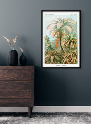 Framed "Filicinae Laubfarne" botanical artwork by Ernst Haeckel displayed on a modern living room wall.