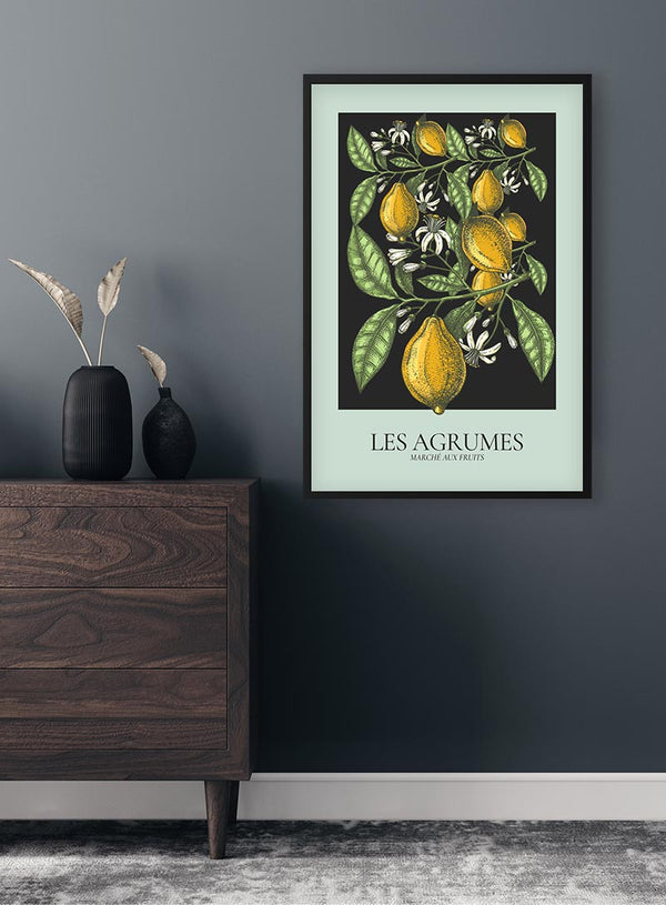 Poster Les Agrumes Grün