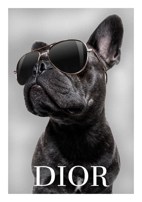 Bulldogge Dior Poster