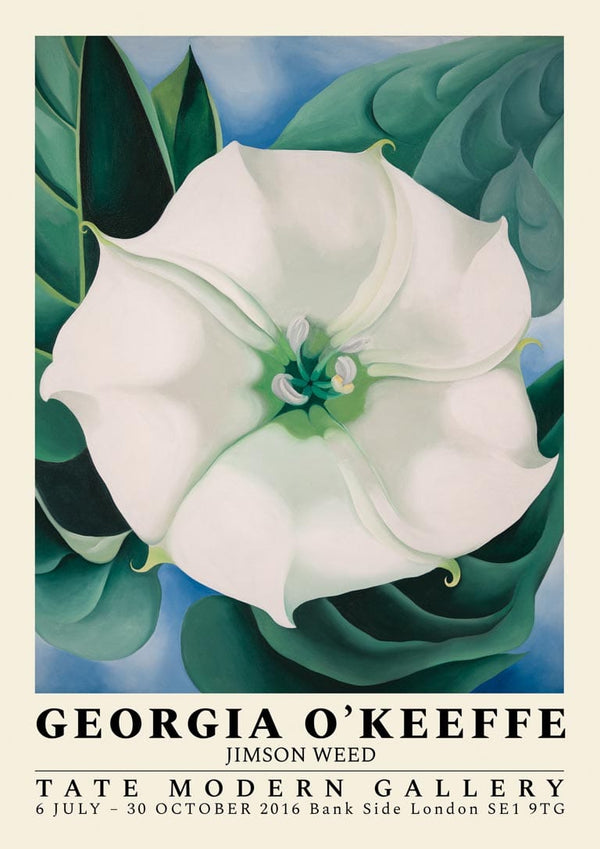 Jimson Weed – Georgia O'Keeffe Poster
