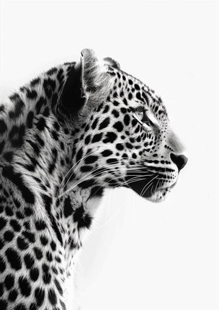 Stylish black and white profile of a leopard for the Fashion Leopard Artsy Edition product page.