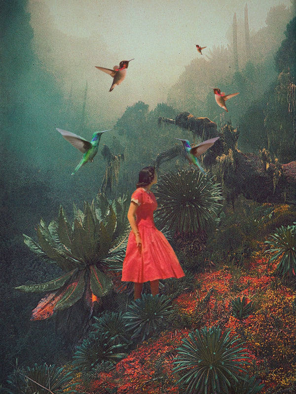 20 Sekunden vor dem Regen - Frank Moth