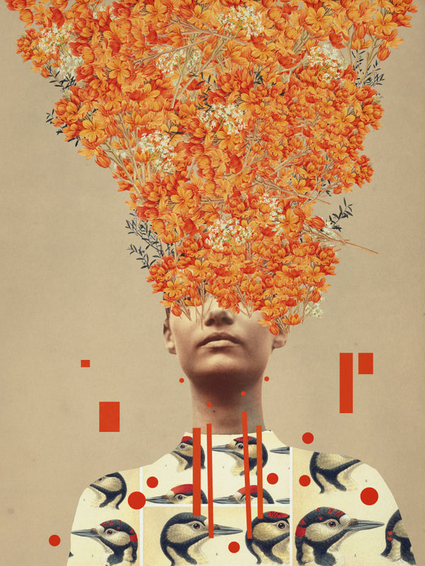 Vogelflug im Herbst - Frank Moth